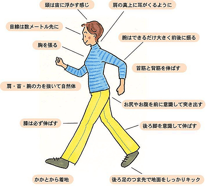 理想のウォーキングフォーム 理想のウォーキングフォーム