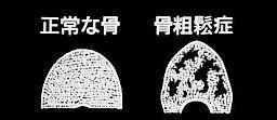 ���e���傤�ǂƂ�